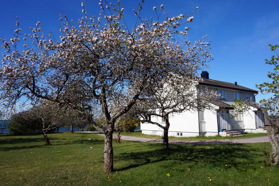 „Cea mai luxoasă închisoare din lume” este în Europa: Pe „Insula Diavolului”, fiecare deținut are o casă, poate pescui și juca tenis 1012671