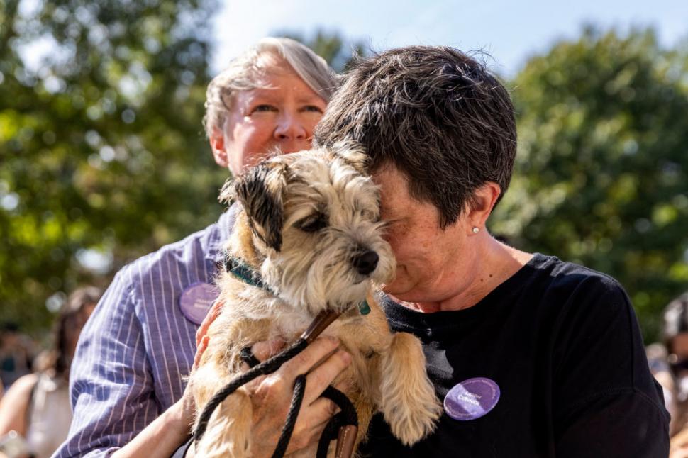 Câini, pisici, păsări și....o tarantulă au fost binecuvântate la Catedrala Națională din Washington. Tradiția are loc în toată lumea 1012980