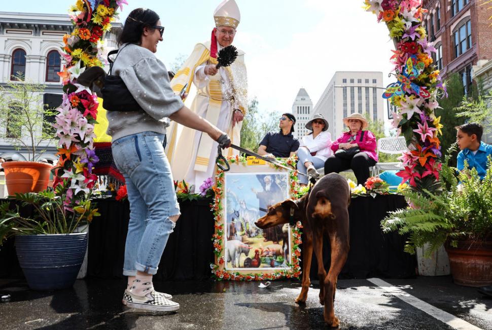Câini, pisici, păsări și....o tarantulă au fost binecuvântate la Catedrala Națională din Washington. Tradiția are loc în toată lumea 1012982