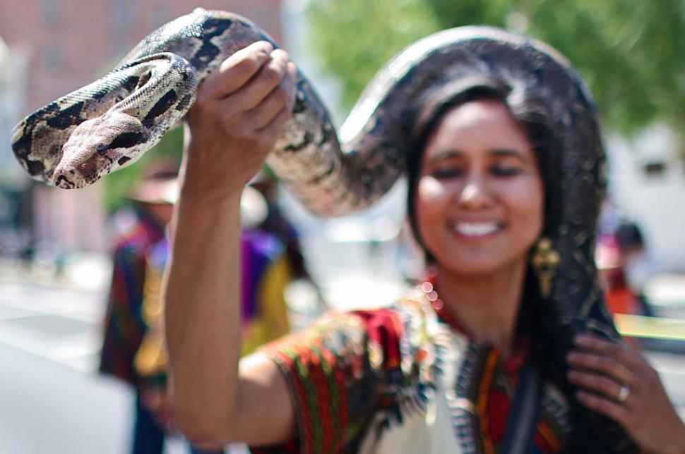 Câini, pisici, păsări și....o tarantulă au fost binecuvântate la Catedrala Națională din Washington. Tradiția are loc în toată lumea 1012983