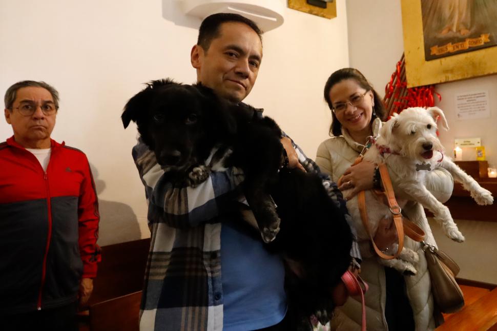 Câini, pisici, păsări și....o tarantulă au fost binecuvântate la Catedrala Națională din Washington. Tradiția are loc în toată lumea 1012989