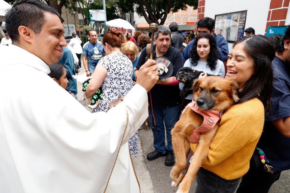 Câini, pisici, păsări și....o tarantulă au fost binecuvântate la Catedrala Națională din Washington. Tradiția are loc în toată lumea 1012990