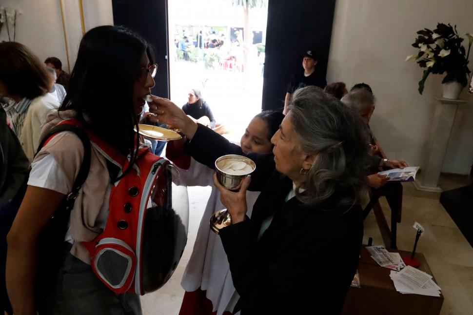 Câini, pisici, păsări și....o tarantulă au fost binecuvântate la Catedrala Națională din Washington. Tradiția are loc în toată lumea 1012992