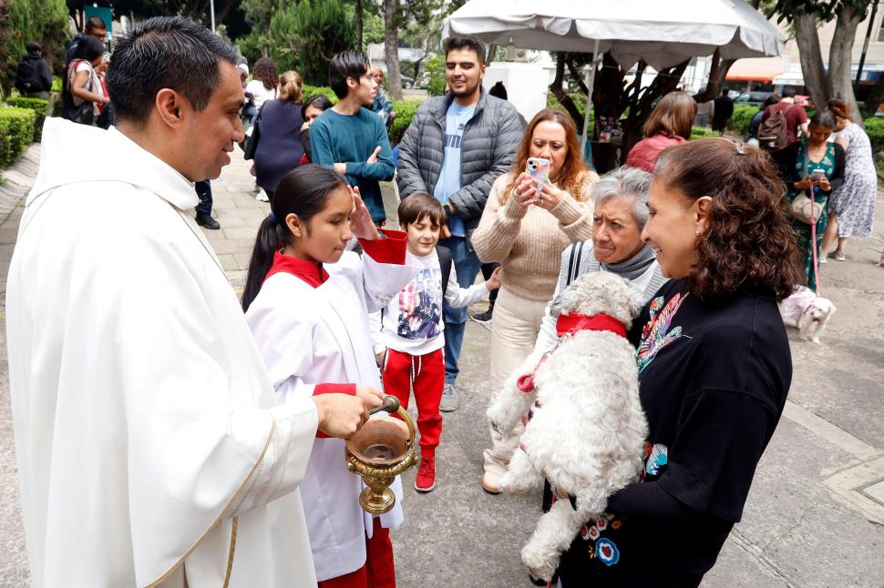 Câini, pisici, păsări și....o tarantulă au fost binecuvântate la Catedrala Națională din Washington. Tradiția are loc în toată lumea 1012993