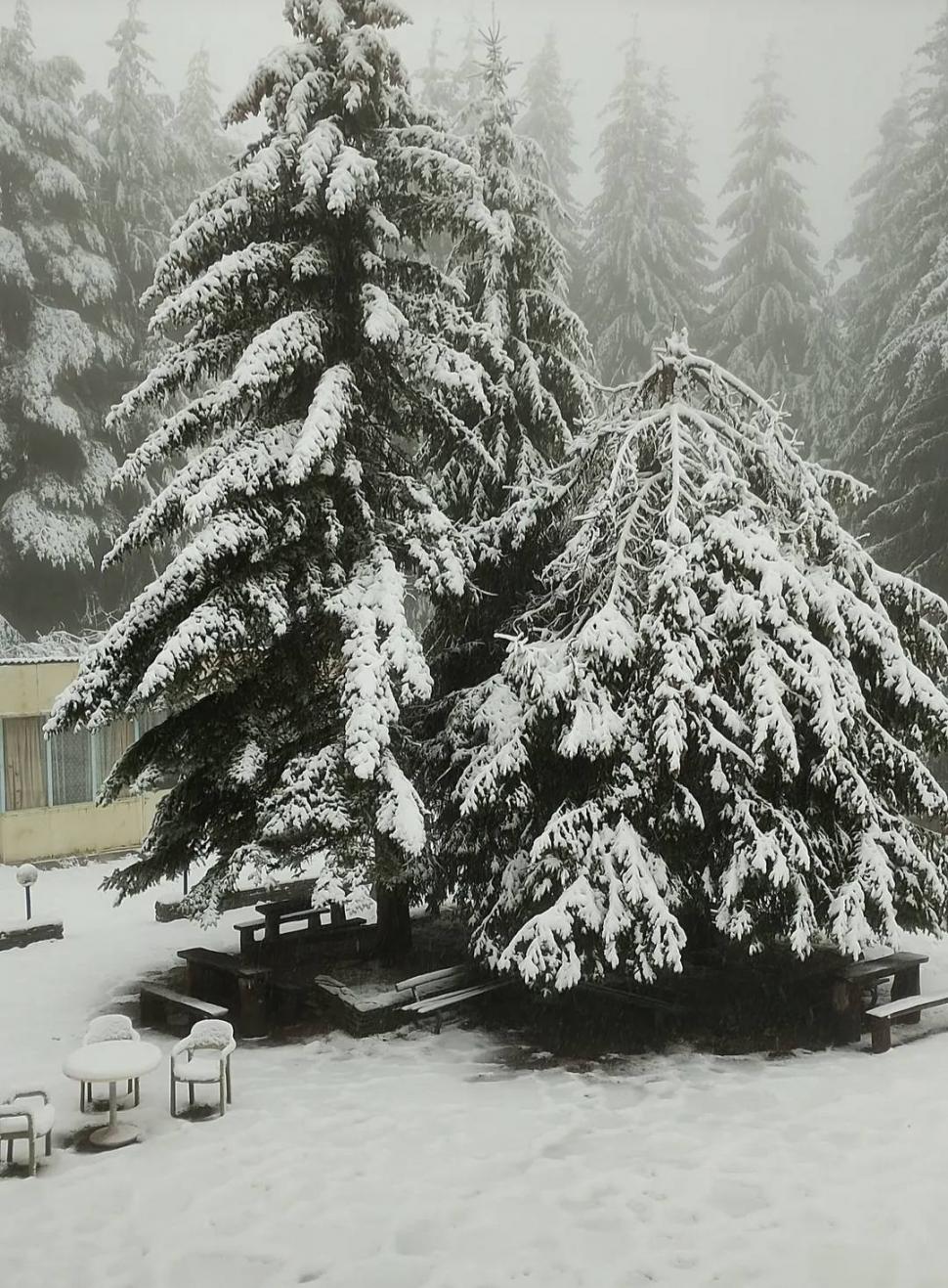 Bulgaria, devastată de inundaţii şi ninsori. Mai multe hoteluri au fost inundate şi şcolile au fost închise din cauza vremii extreme 1013130