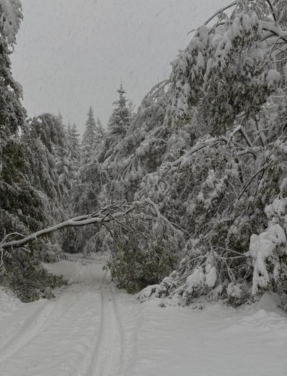 Bulgaria, devastată de inundaţii şi ninsori. Mai multe hoteluri au fost inundate şi şcolile au fost închise din cauza vremii extreme 1013133
