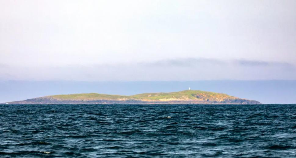 O insulă scoțiană pitorească tocmai a fost scoasă la vânzare și costă cât un apartament. Are 28 de hectare și propria colonie de foci 1013310