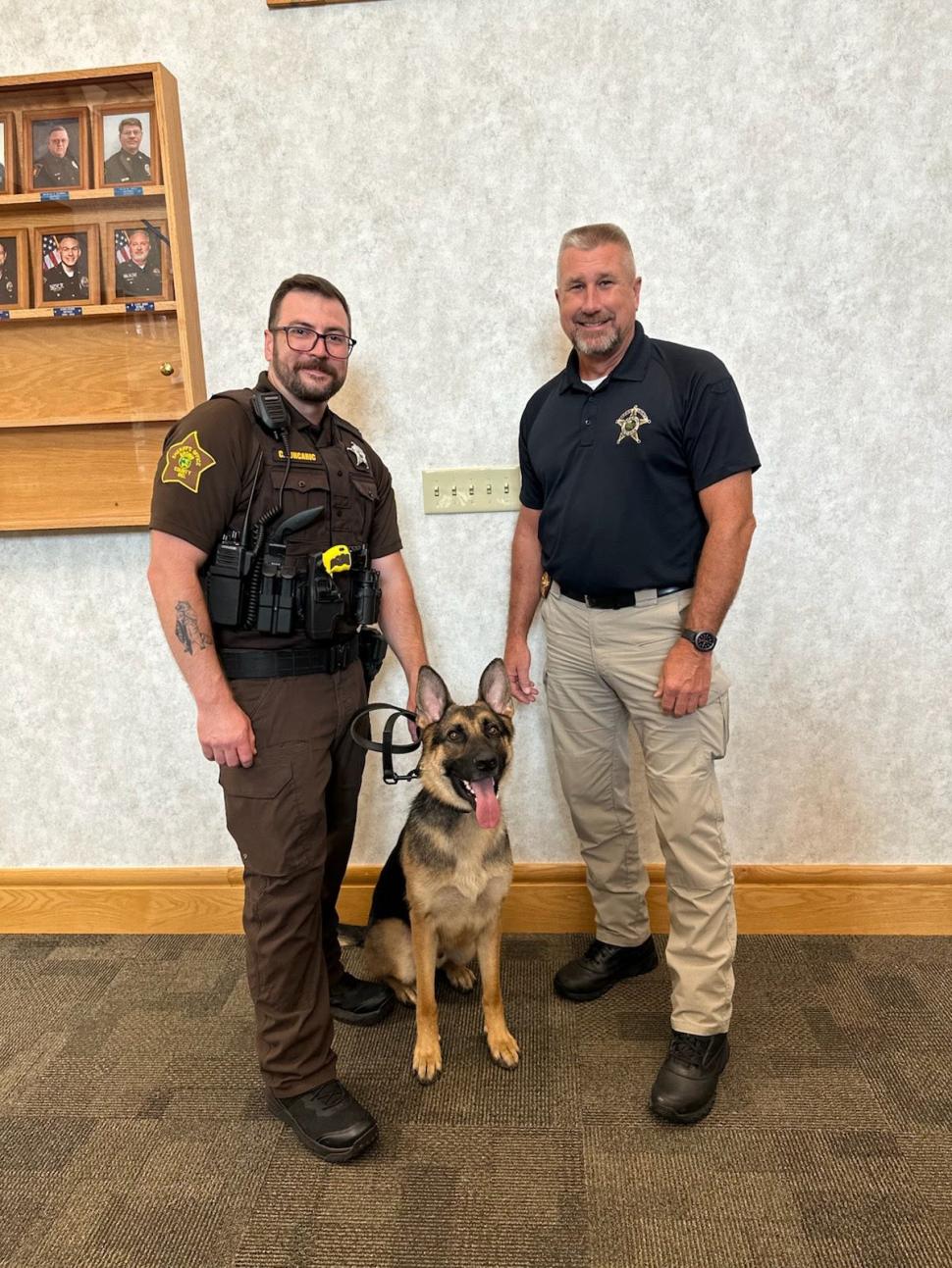 Un câine poliţist a devenit erou după o amplă operaţiune de căutare a doi copii, care s-au pierdut într-o pădure uriaşă 1013638