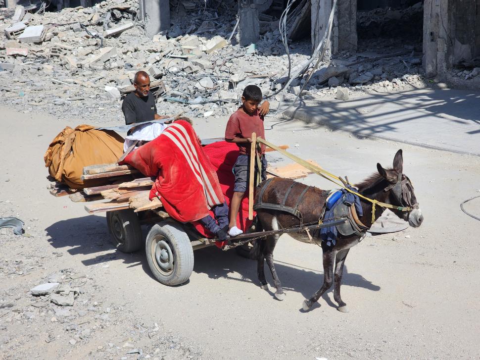 Imaginile durerii și neputinței: Palestinienii se întorc în Gaza după doi ani, dar casele lor nu mai există. „Nu știm unde să mergem” 1014242