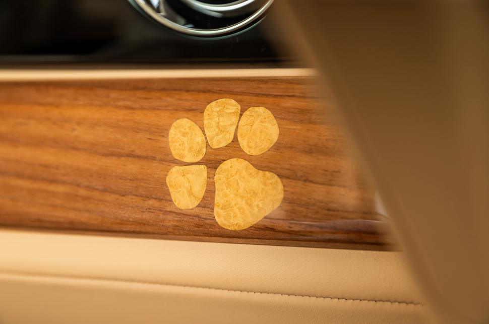 Un cuplu din SUA a plătit un milion de dolari pe o mașină Rolls Royce personalizată pentru câinele familiei: Cum arată „Spectre Bailey” 1013289