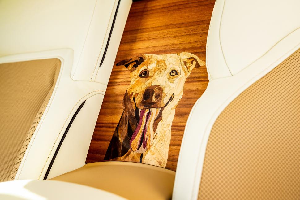 Un cuplu din SUA a plătit un milion de dolari pe o mașină Rolls Royce personalizată pentru câinele familiei: Cum arată „Spectre Bailey” 1013290