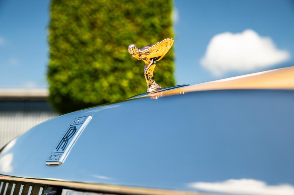 Un cuplu din SUA a plătit un milion de dolari pe o mașină Rolls Royce personalizată pentru câinele familiei: Cum arată „Spectre Bailey” 1013291