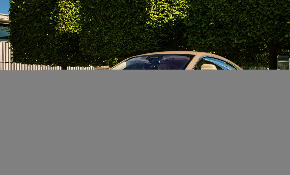 Un cuplu din SUA a plătit un milion de dolari pe o mașină Rolls Royce personalizată pentru câinele familiei: Cum arată „Spectre Bailey” 1013296