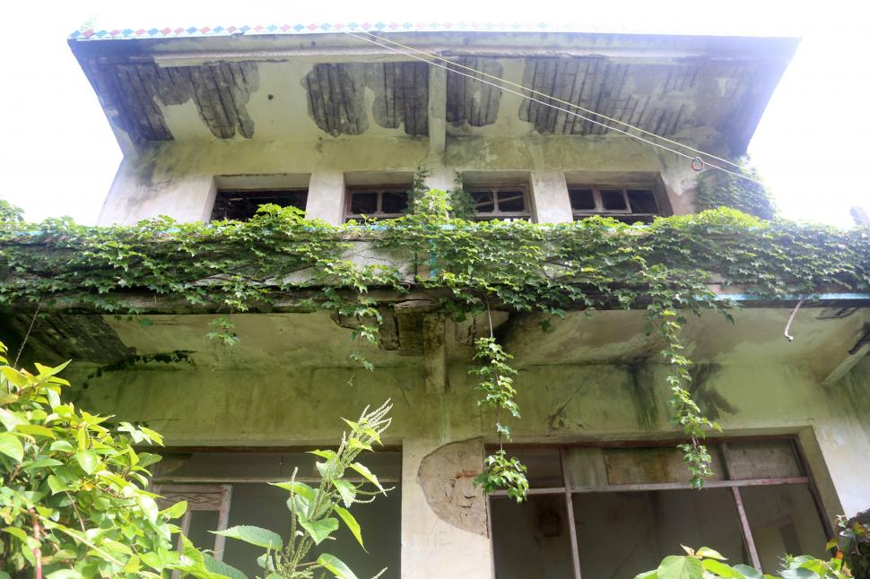 Satul abandonat care a fost complet înghițit de natură. Ce s-a întâmplat după ce au apărut primele imagini cu el 1014047