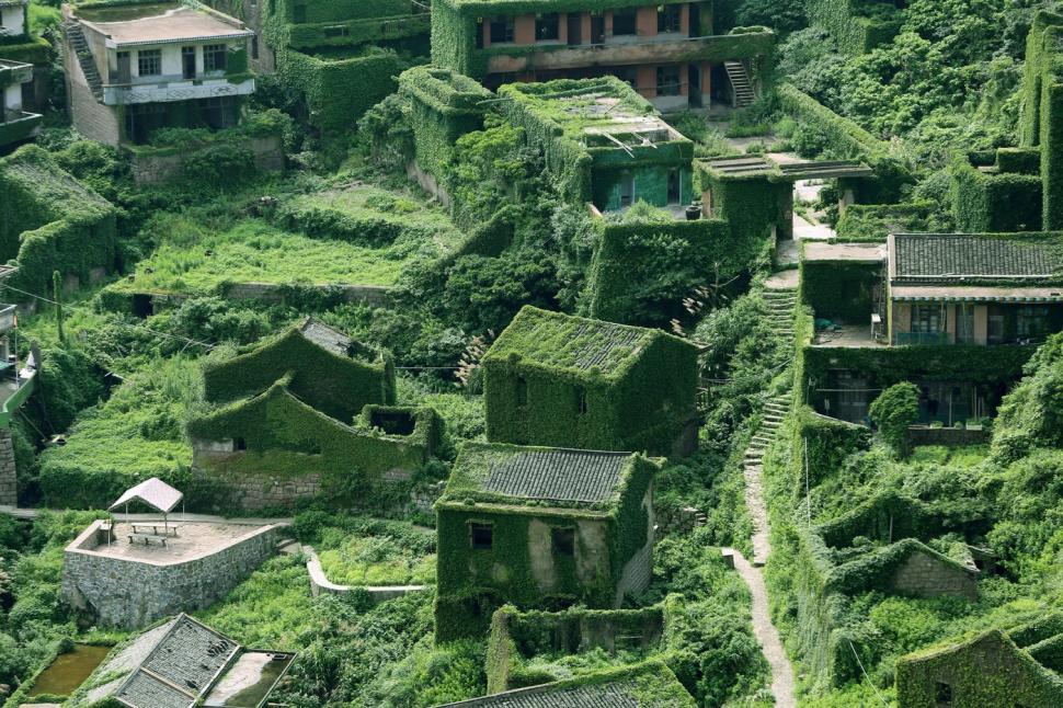 Satul abandonat care a fost complet înghițit de natură. Ce s-a întâmplat după ce au apărut primele imagini cu el 1014064