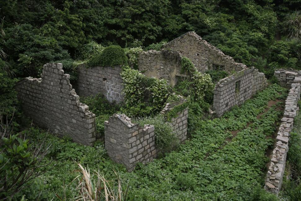 Satul abandonat care a fost complet înghițit de natură. Ce s-a întâmplat după ce au apărut primele imagini cu el 1014067