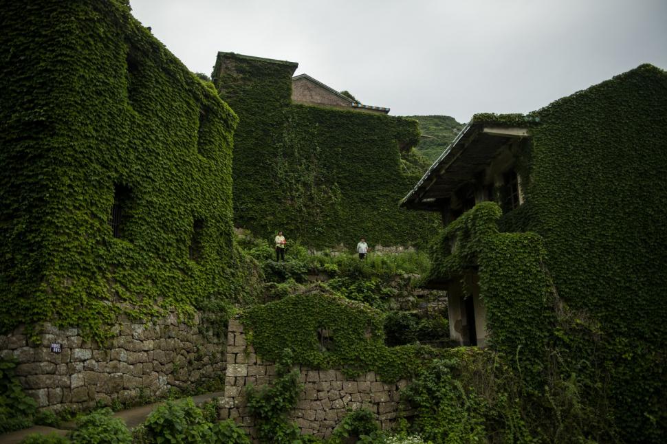 Satul abandonat care a fost complet înghițit de natură. Ce s-a întâmplat după ce au apărut primele imagini cu el 1014069