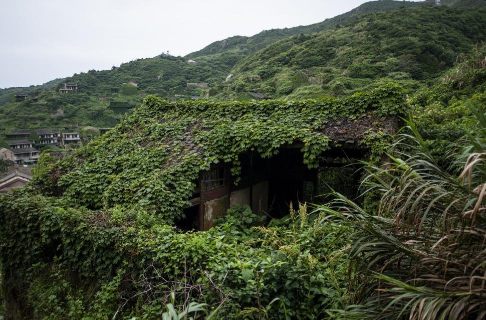 Satul abandonat care a fost complet înghițit de natură. Ce s-a întâmplat după ce au apărut primele imagini cu el 1014071