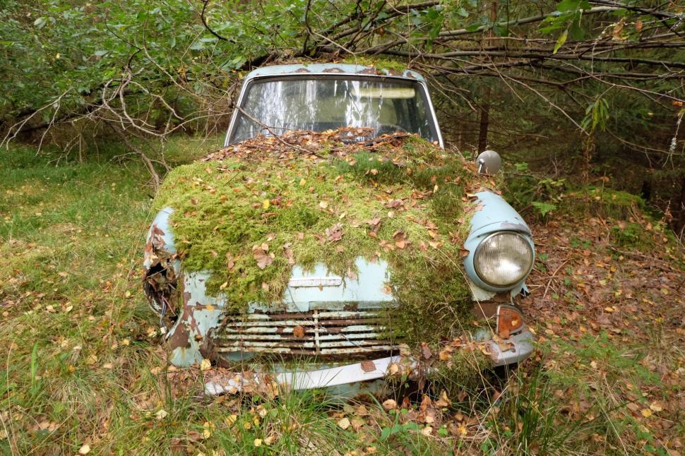 Un bărbat care și-a abandonat mașina într-o pădure a găsit-o după 40 de ani în exact același loc: Ford Anglia arăta neașteptat de bine 1014516