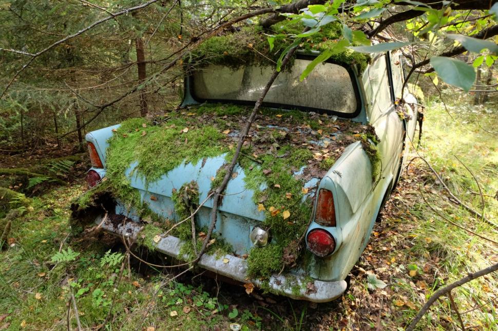 Un bărbat care și-a abandonat mașina într-o pădure a găsit-o după 40 de ani în exact același loc: Ford Anglia arăta neașteptat de bine 1014517