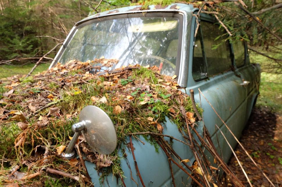 Un bărbat care și-a abandonat mașina într-o pădure a găsit-o după 40 de ani în exact același loc: Ford Anglia arăta neașteptat de bine 1014518