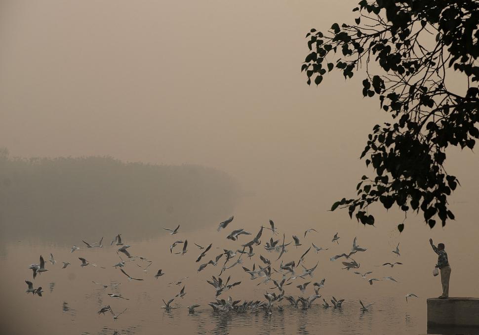 Țara care rămâne fără soare: Cum schimbă aerul murdar vremea și viața de zi cu zi 1015077