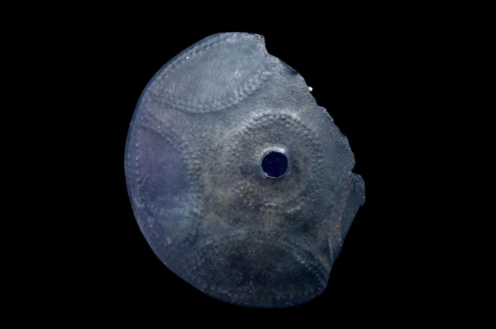 Descoperire uluitoare în Italia. Zeci de artefacte din Epoca Bronzului, găsite în satul subacvatic din Lacul Mezzano  1016152