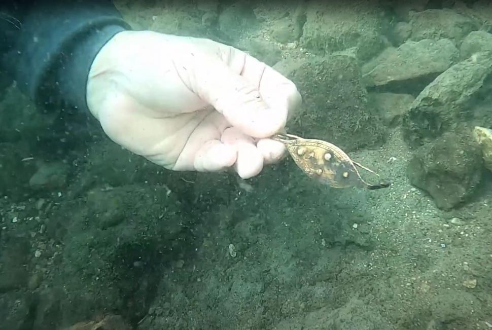 Descoperire uluitoare în Italia. Zeci de artefacte din Epoca Bronzului, găsite în satul subacvatic din Lacul Mezzano  1016163