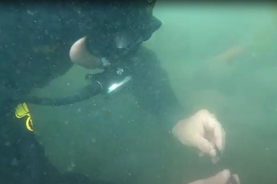 Descoperire uluitoare în Italia. Zeci de artefacte din Epoca Bronzului, găsite în satul subacvatic din Lacul Mezzano  1016165