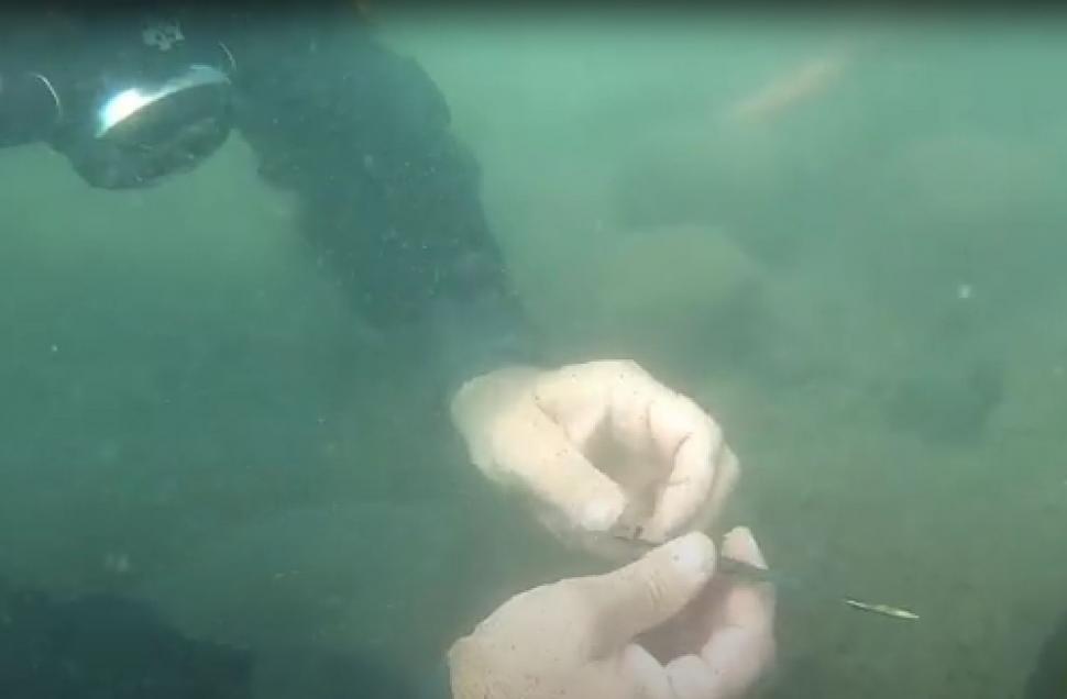 Descoperire uluitoare în Italia. Zeci de artefacte din Epoca Bronzului, găsite în satul subacvatic din Lacul Mezzano  1016166