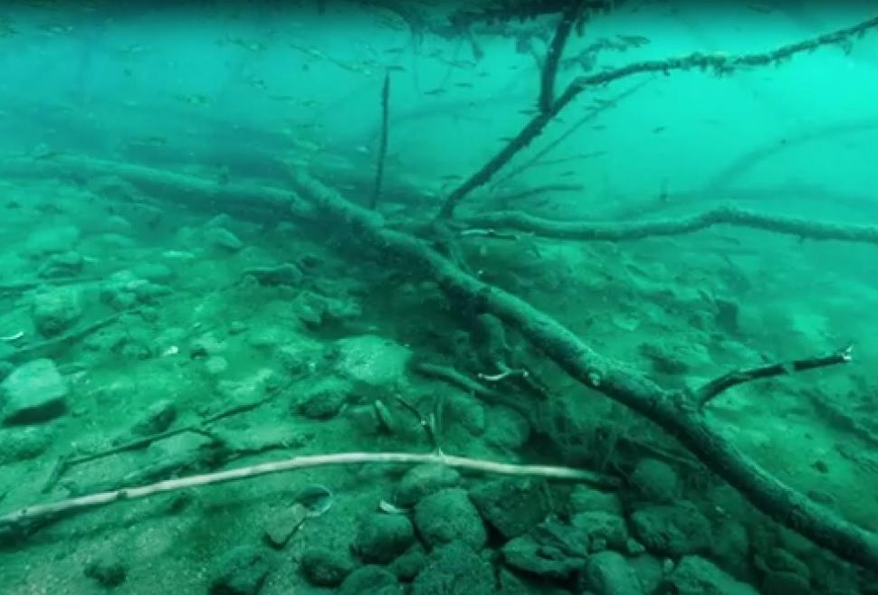 Descoperire uluitoare în Italia. Zeci de artefacte din Epoca Bronzului, găsite în satul subacvatic din Lacul Mezzano  1016172