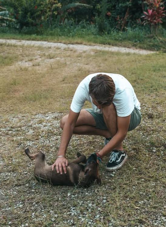 De trei ani locuiesc într-un Land Rover. Doi tineri au demisionat la 28 de ani și au plecat în lume, într-o călătorie de 160.000 de km 1016847