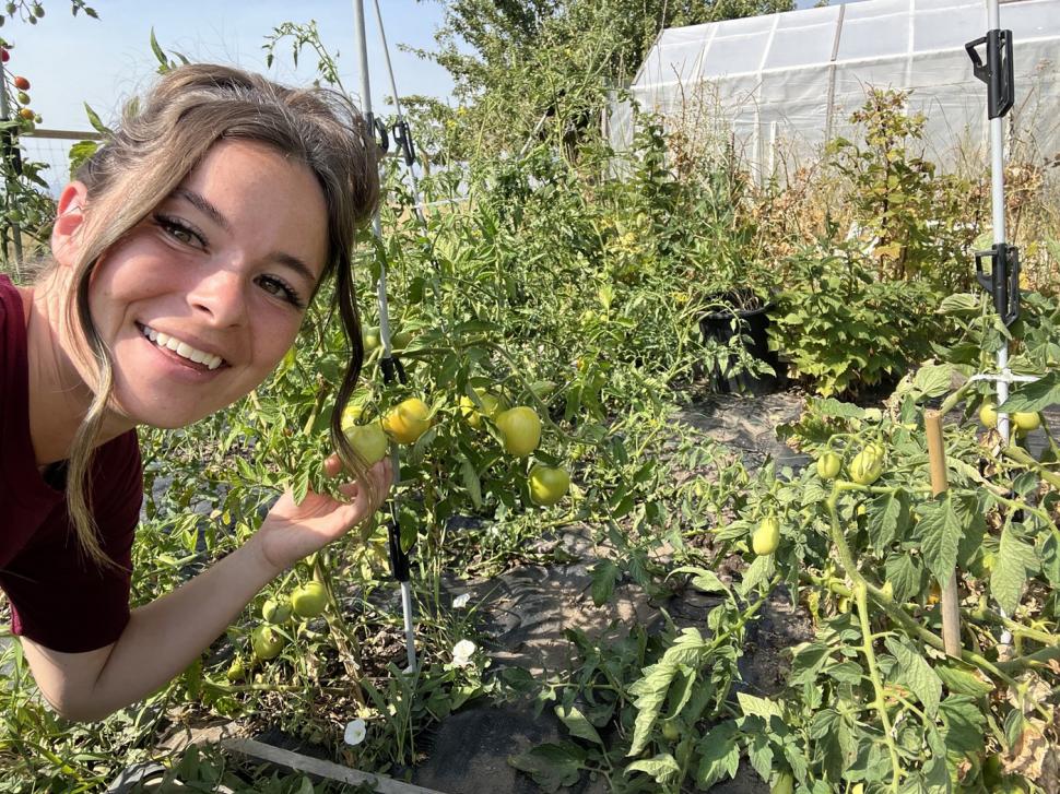 ”Pregătiri pentru Apocalipsă”. O tânără de 25 de ani crede că vine colapsul global și are provizii pentru cinci persoane timp de 10 ani 1016593