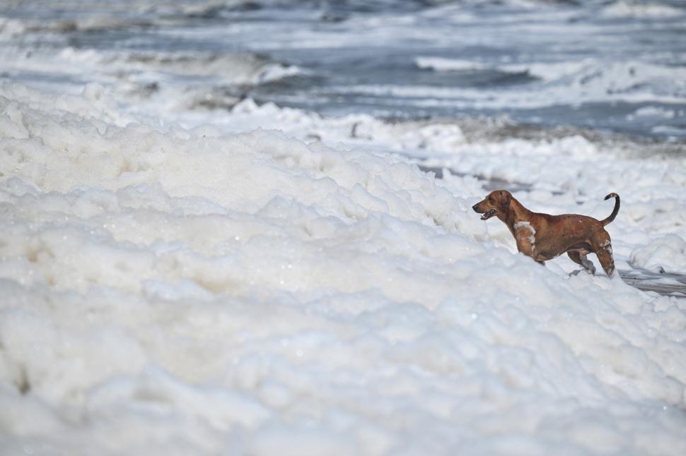  „E incredibil cum pare zăpadă, dar miroase chimic”. Pericolul mortal din spatele unor imagini virale de pe o plajă 1017324
