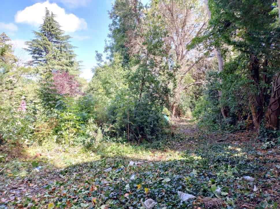 O casă în ruină din Londra s-a vândut la licitație la un preț ireal. Un client aproape că s-a înecat din cauza mirosului 1017075