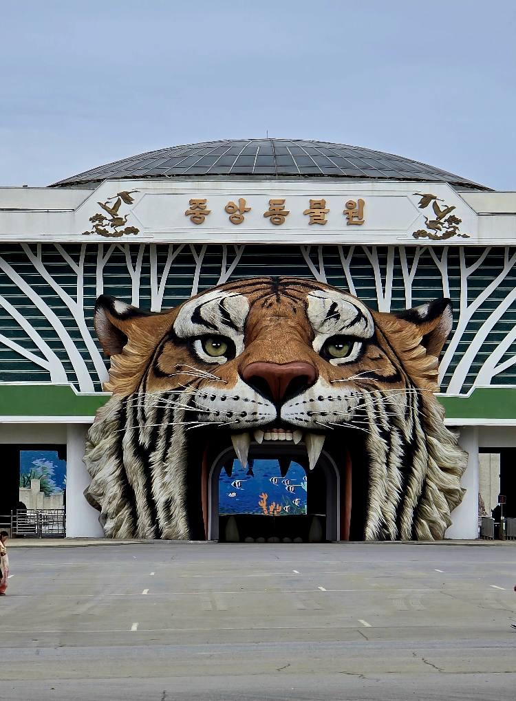 Ce a văzut un turist italian în Coreea de Nord: „Ei chiar cred că trăiesc în cea mai avansată țară din lume” 1017457