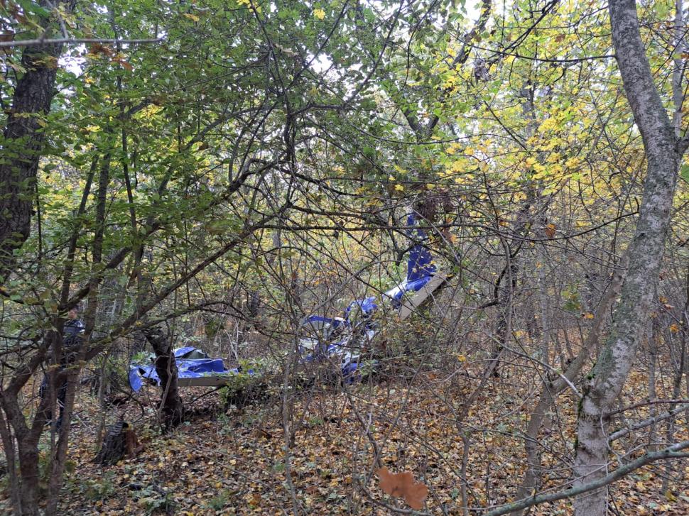 Accident aviatic în judeţul Vaslui. Un avion ultraușor s-a prăbușit într-o pădure. Pilotul, un cunoscut afacerist din Suceava, a murit 1017629