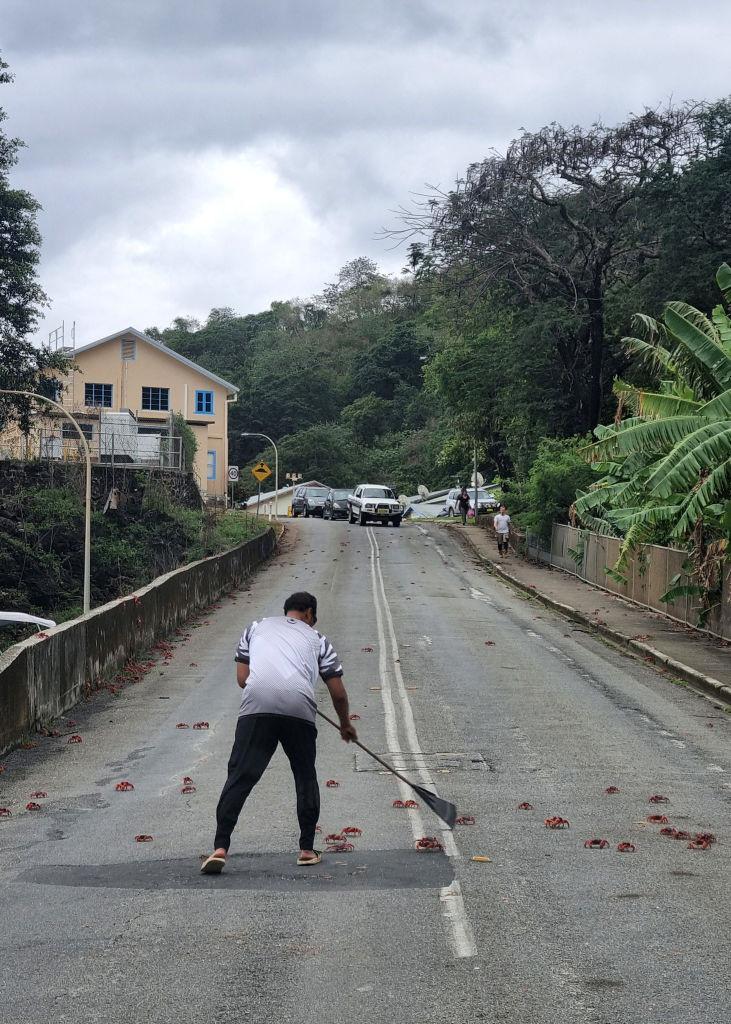 Pe o mică insulă cu 1.200 de oameni viața se oprește în loc pentru că 100 de milioane de crabi roșii și-au început migrația anuală 1017795