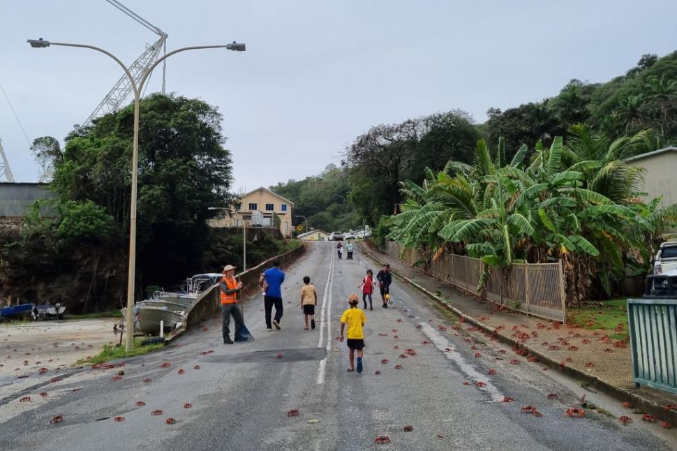 Pe o mică insulă cu 1.200 de oameni viața se oprește în loc pentru că 100 de milioane de crabi roșii și-au început migrația anuală 1017796