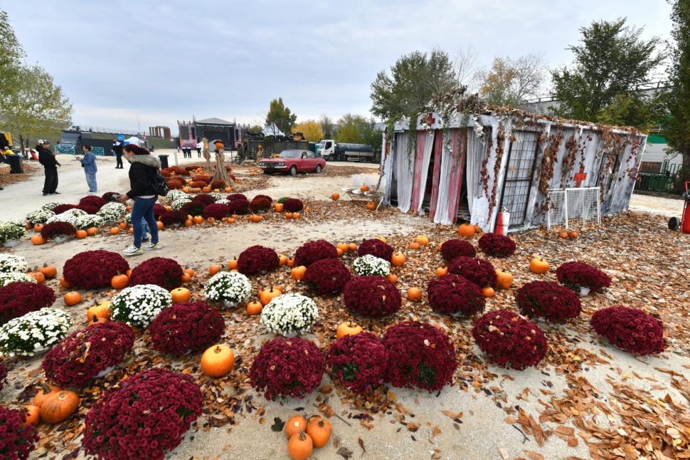 Un Lamborghini realizat manual din 10.000 de chei de yale, printre atracţiile de la West Side Hallo Fest. Ce surprize s-au pregătit 1018309