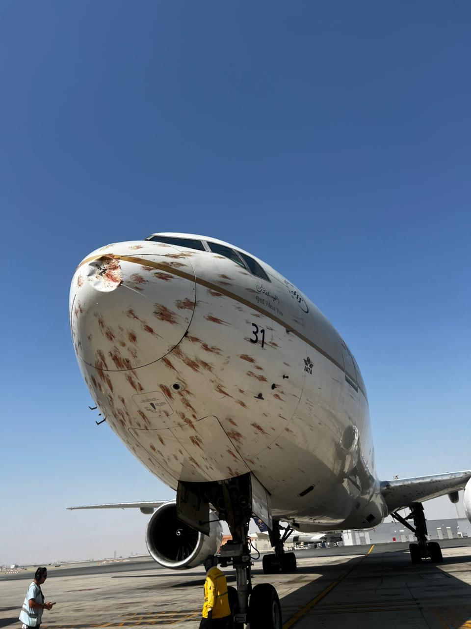 Imagini teribile cu un avion avariat după ce a intrat într-un stol de păsări imediat după decolare. Momentul a fost filmat 1018743