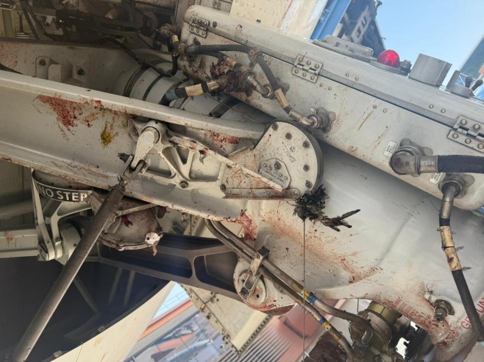 Imagini teribile cu un avion avariat după ce a intrat într-un stol de păsări imediat după decolare. Momentul a fost filmat 1018744