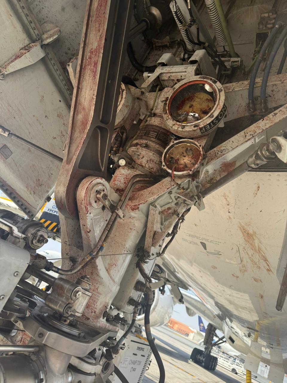 Imagini teribile cu un avion avariat după ce a intrat într-un stol de păsări imediat după decolare. Momentul a fost filmat 1018745