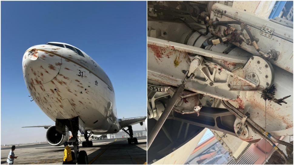 Imagini teribile cu un avion avariat după ce a intrat într-un stol de păsări imediat după decolare. Momentul a fost filmat 1018747