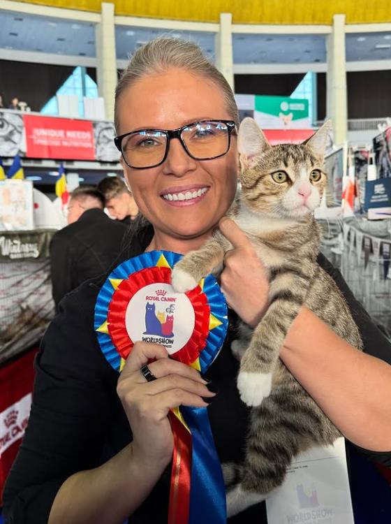 Trei pisici din România au fost desemnate cele mai frumoase din lume, la Campionatul Mondial Felin din București 1020007