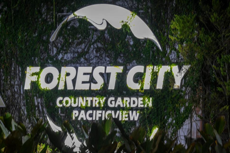 Orașul fantomă de 100 de miliarde de dolari. De ce locuiesc doar câteva suflete în Forest City, orașul ridicat pentru 700.000 de oameni 1021183