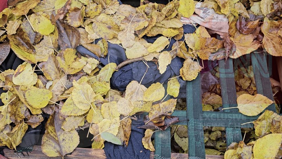 Suspiciuni de crimă la Bacău: Cadavrul unei tinere a fost găsit lângă o cale ferată din oraș, cu urme de tăieturi și lovituri 1023351