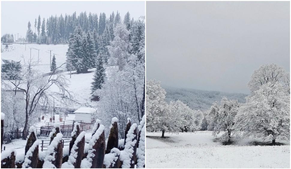 Prima ninsoare serioasă din acest sezon a scos utilajele de deszăpezire pe drumurile din mai multe județe 1024563