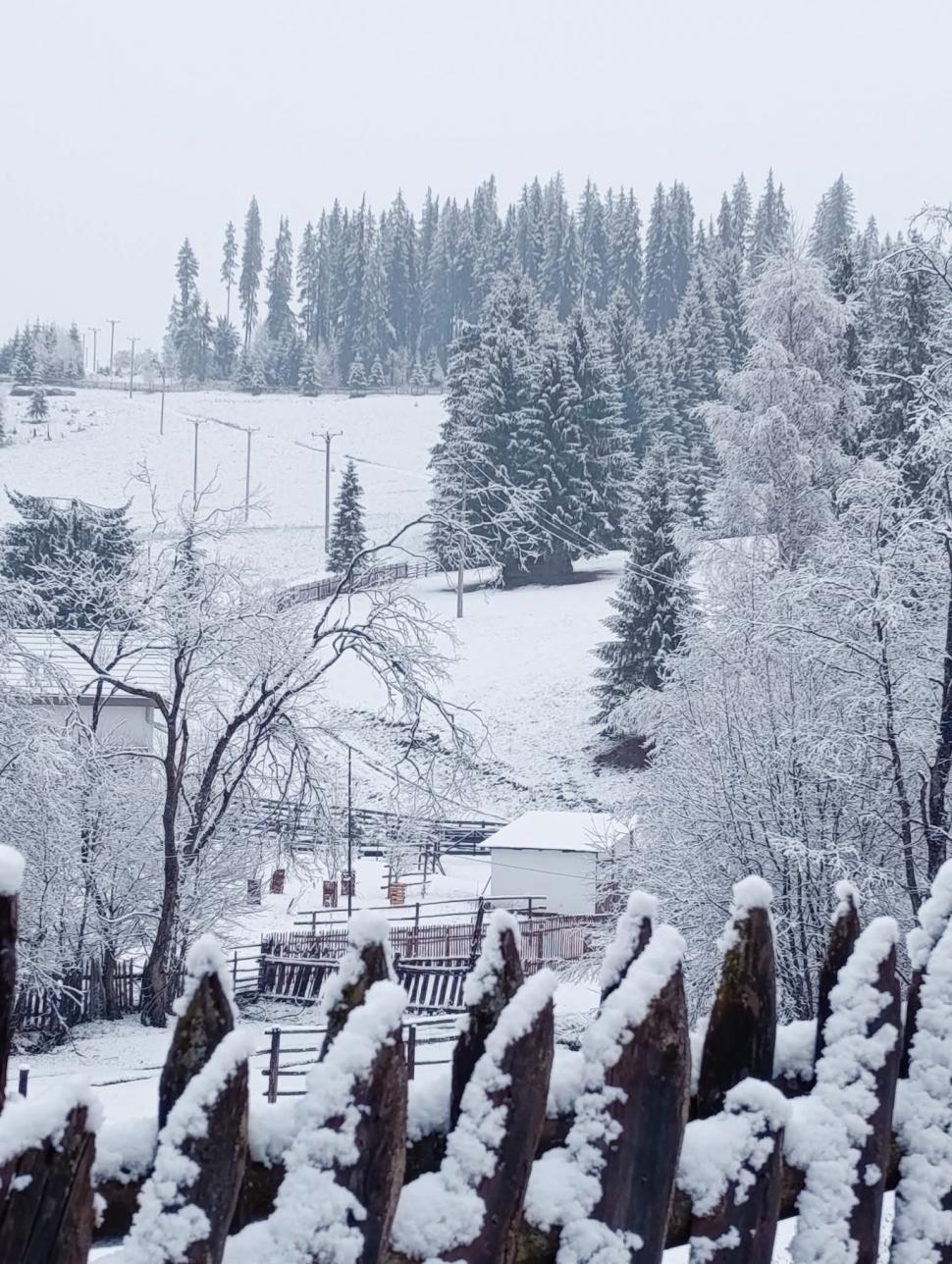 Prima ninsoare serioasă din acest sezon a scos utilajele de deszăpezire pe drumurile din mai multe județe 1024568