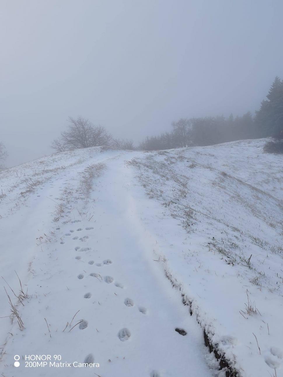 Prima ninsoare serioasă din acest sezon a scos utilajele de deszăpezire pe drumurile din mai multe județe 1024570